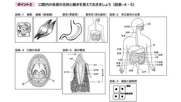 たのまなの登録販売者合格講座の評判は 価格や実際の口コミも公開 資格times たのまなの登録販売者合格講座の評判は 価格や実際の口コミも公開 資格times