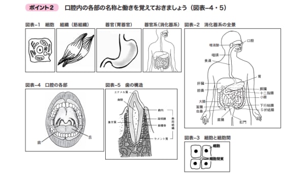 たのまなのテキスト中の図表