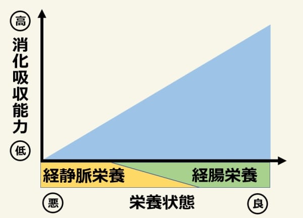 消化吸収能力と栄養摂取方法