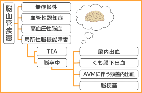医師監修】脳血管疾患とは｜症状や脳卒中との違い・予防の方法まで徹底