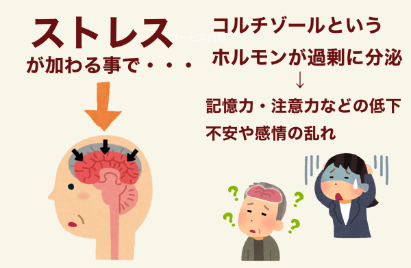 ストレスの影響