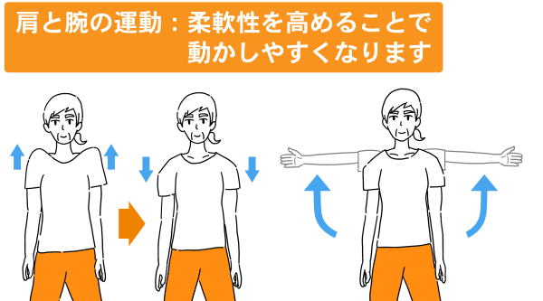 肩と腕の運動