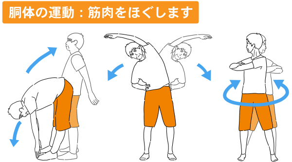 筋肉をほぐす胴体の運動