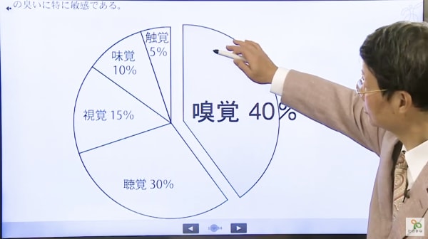 たのまな講座の講義の様子