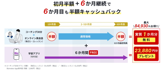 Bizmatesの新春スタートダッシュキャンペーンの詳細