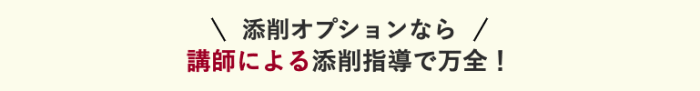 アガルートの添削オプション