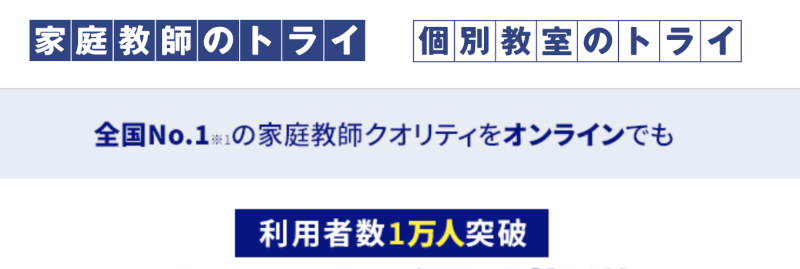 トライオンライン家庭教師の画像