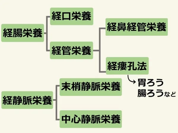 経静脈栄養と経腸栄養の違い