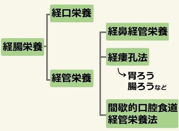 経管栄養とは