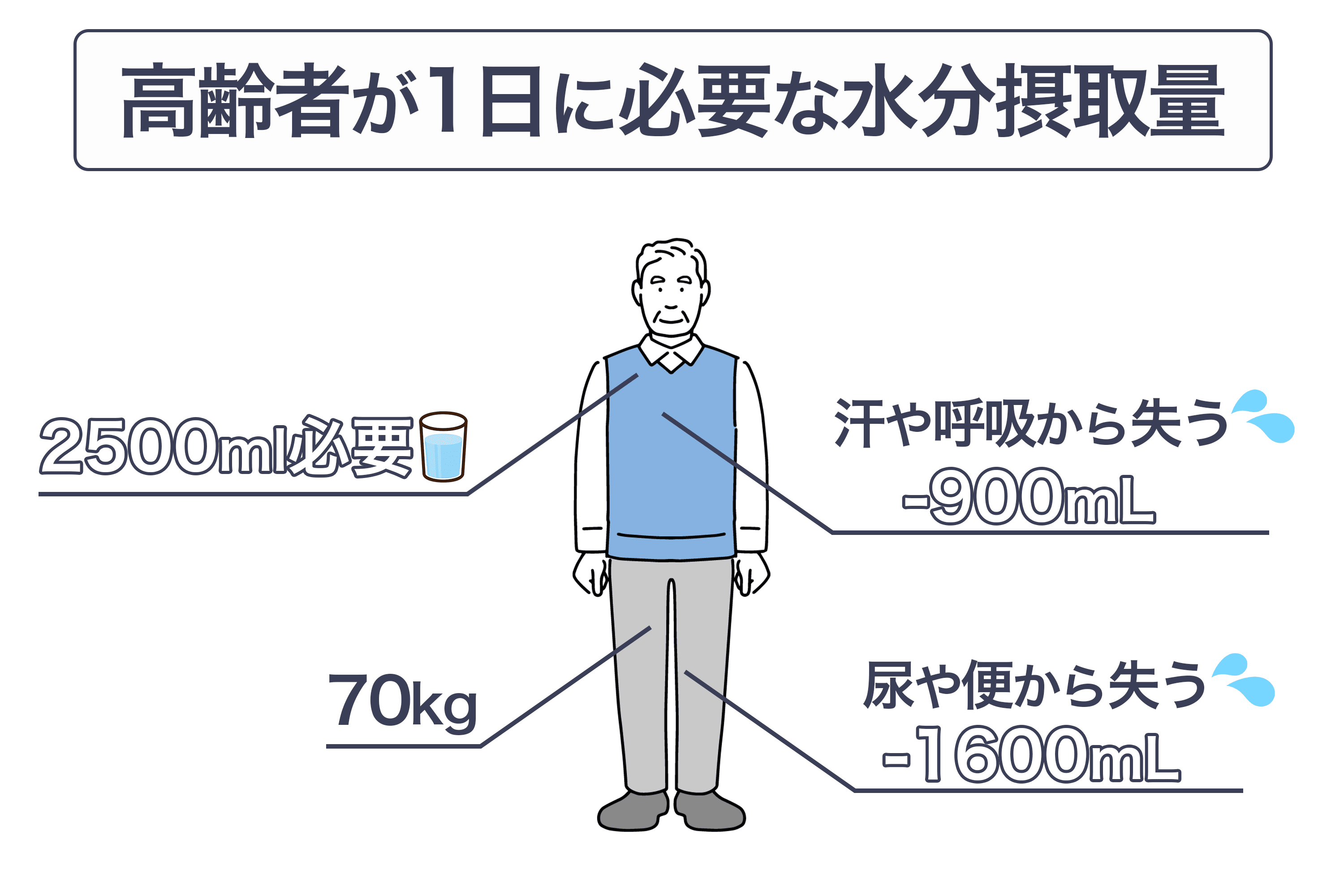 高齢者が必要な水分