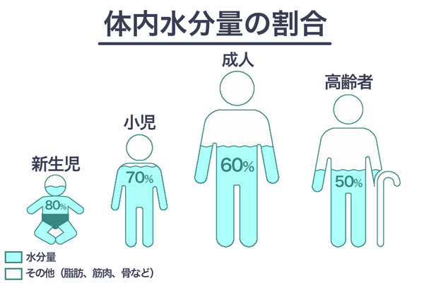 体内水分量の割合