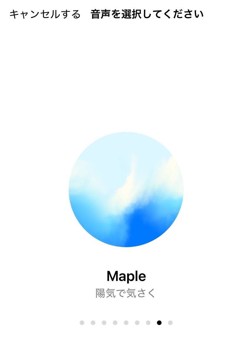 音声タイプの選択画面