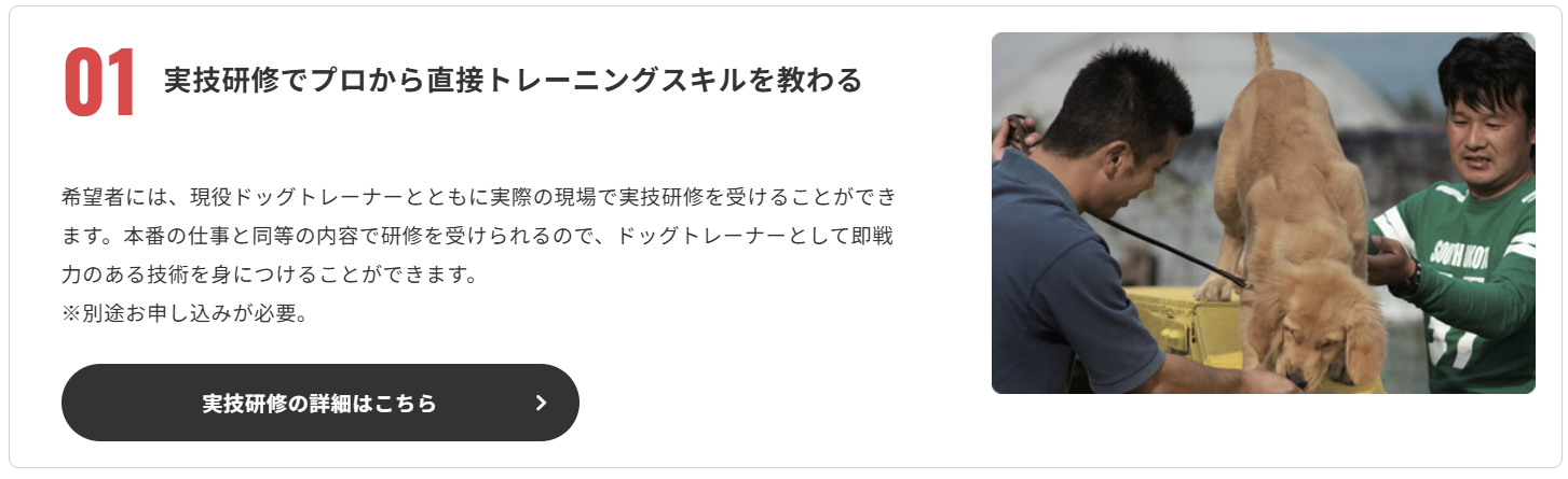 ドッグトレーナーの通信講座おすすめランキング｜人気のオンライン講座