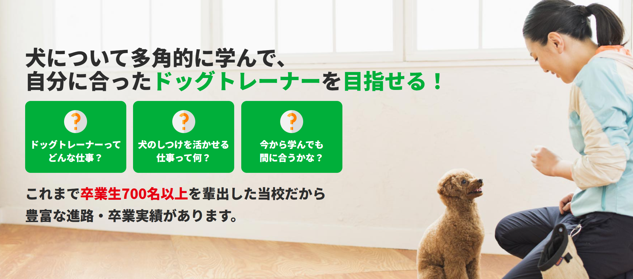 ドッグトレーナーの通信講座おすすめランキング｜人気のオンライン講座