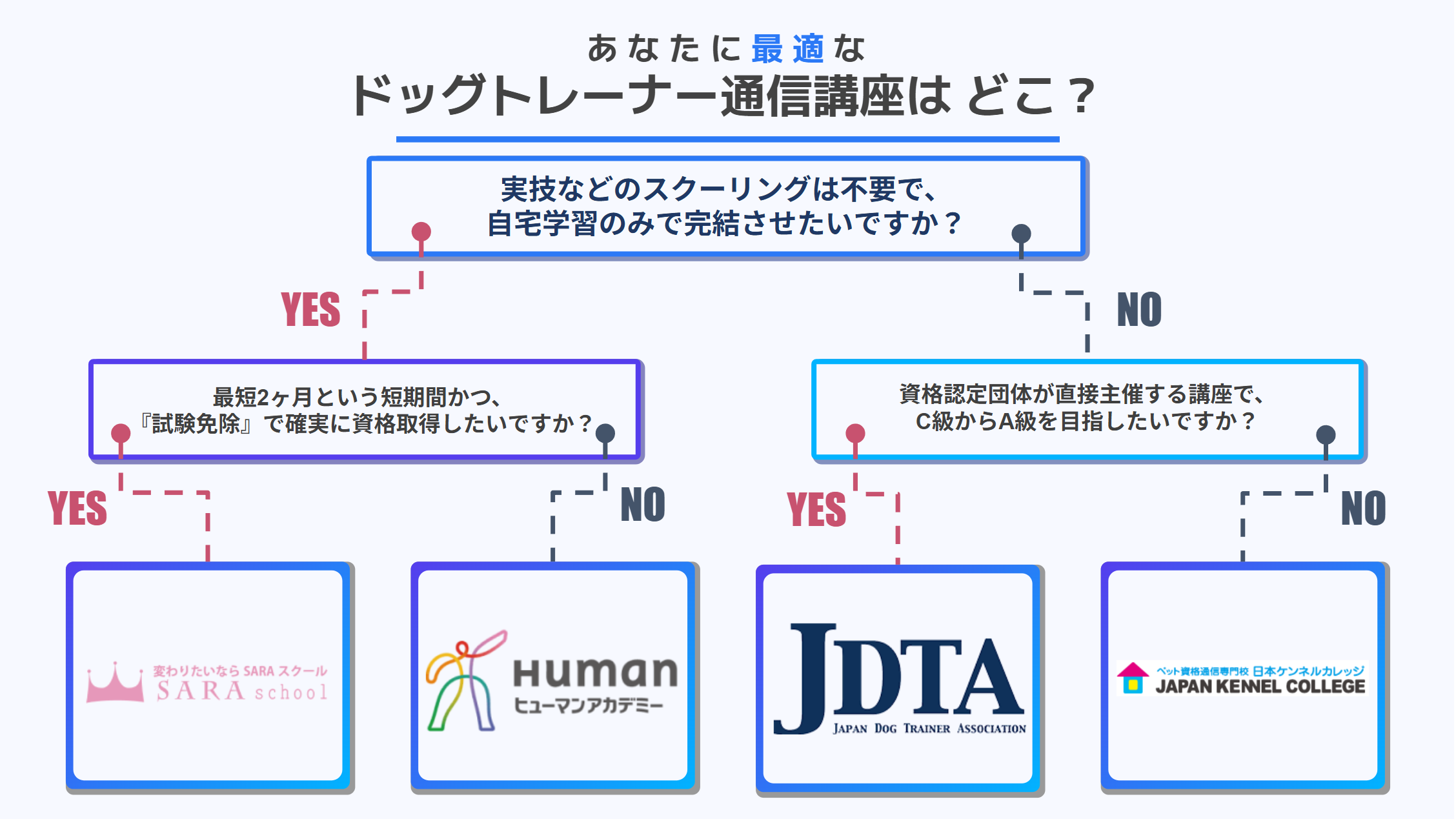 ドッグトレーナーの通信講座おすすめランキング｜人気のオンライン講座