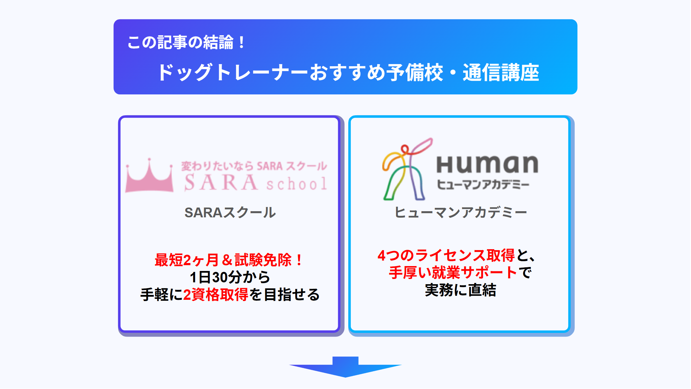 ドッグトレーナーの通信講座おすすめランキング｜人気のオンライン講座