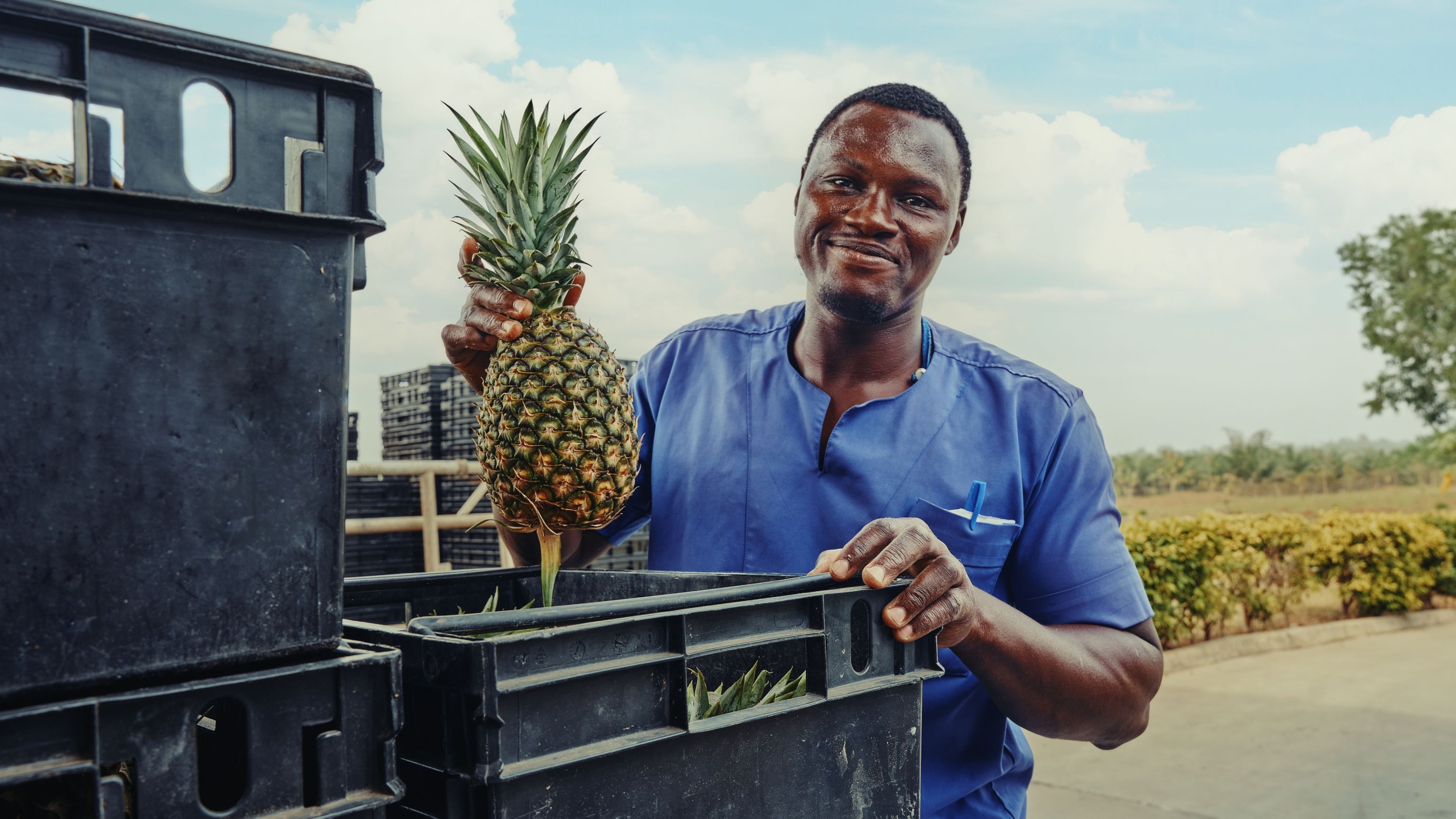 Bénin ananas Pain de sucre