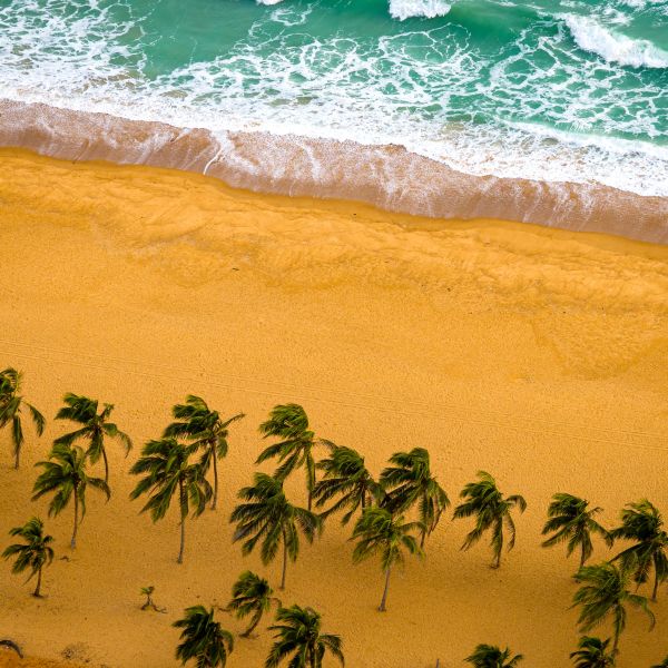 Plage Benin : Guide Pratique Pour Vos Vacances Au Soleil