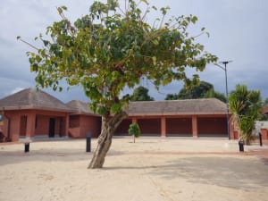 The sandy courtyard of Sakpata Monastery, with a large tree in front of buildings with red walls and thatched roofs