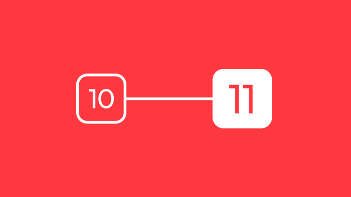 Laravel 11: an easy and step by step upgrade guide