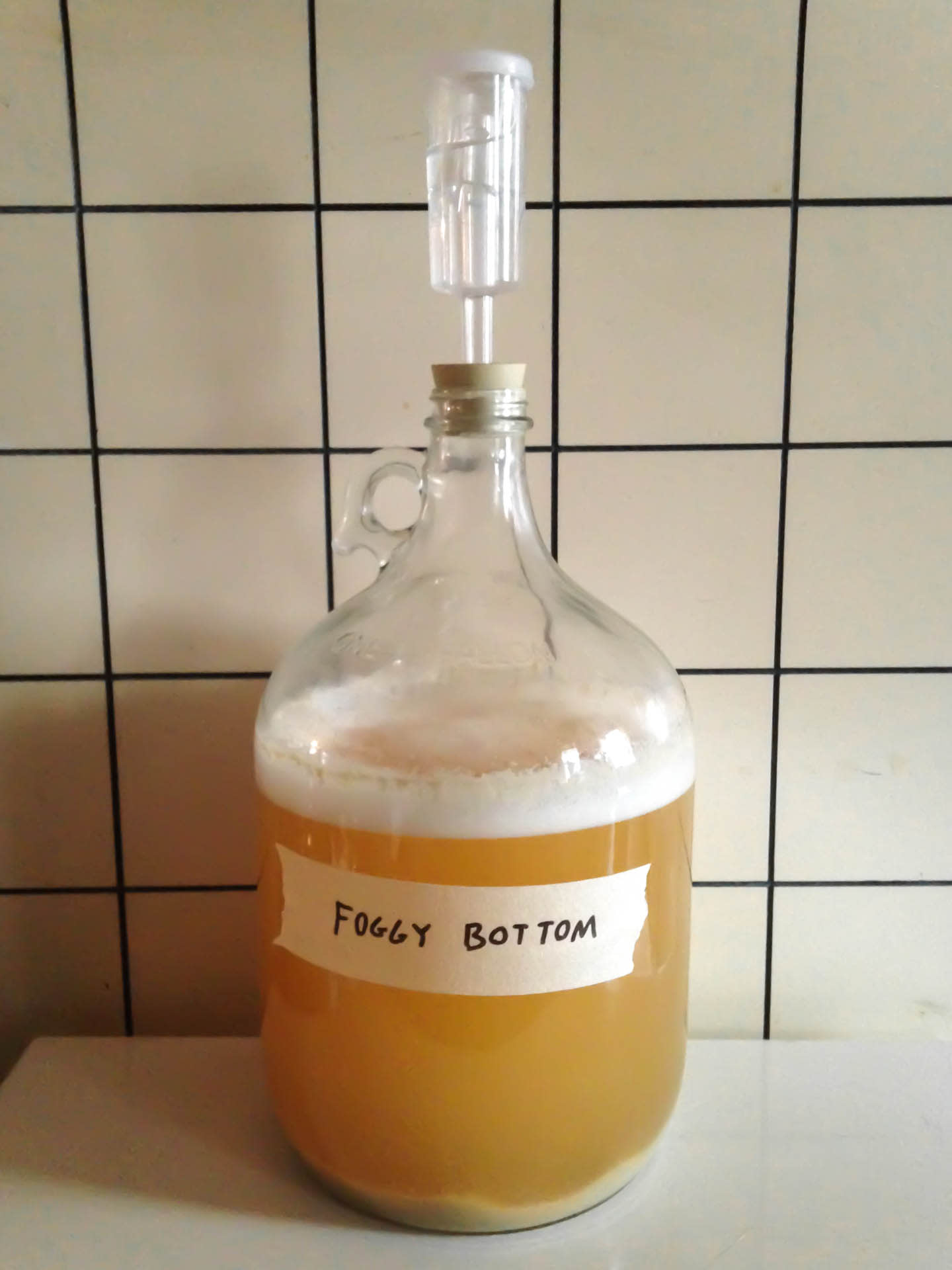 A glass fermentation vessel