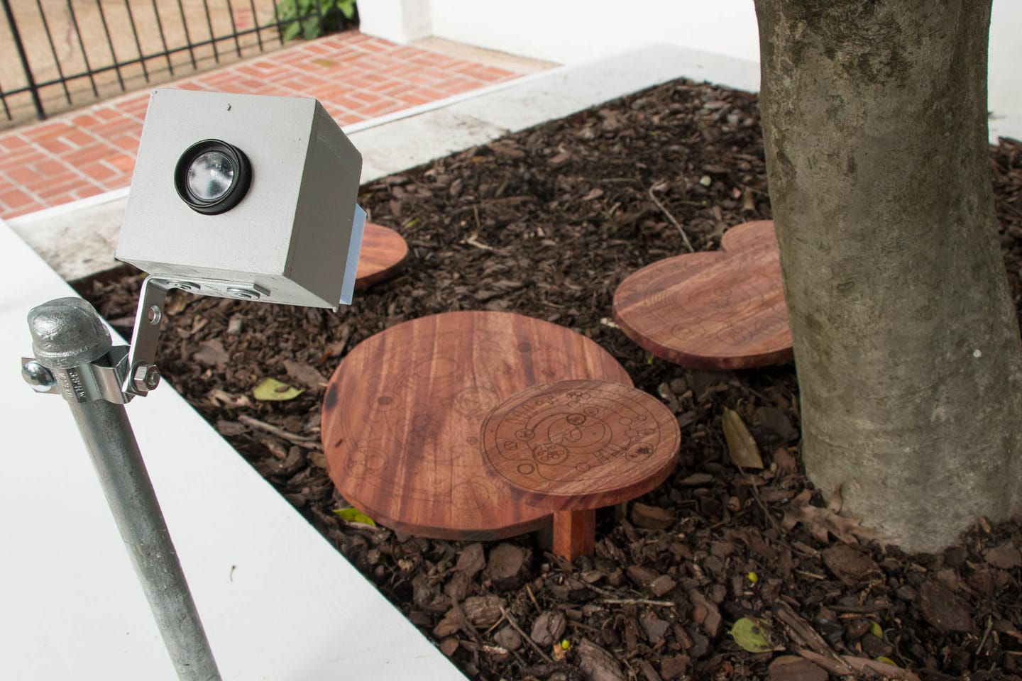 Some microscopes pointed down at wooden disks in a garden