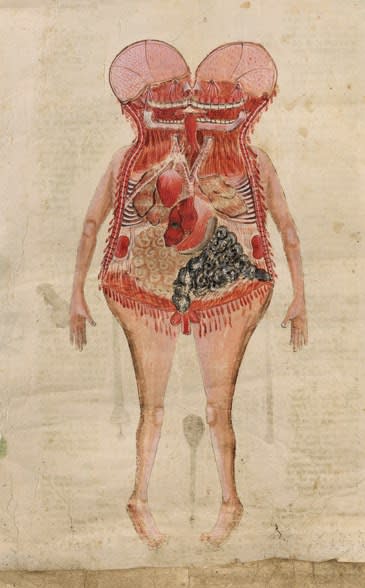 A bisected cadaver in painterly style