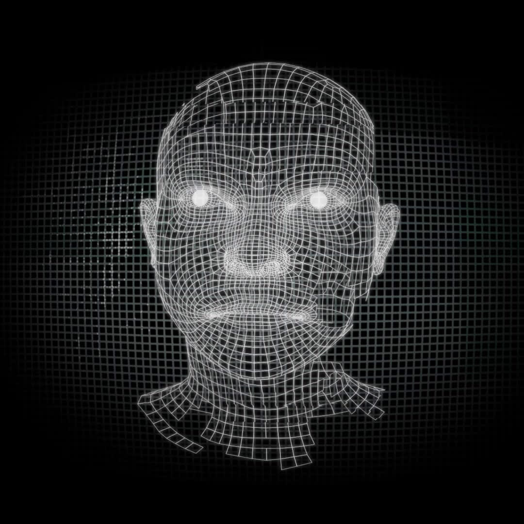 A 3D wireframe of a head