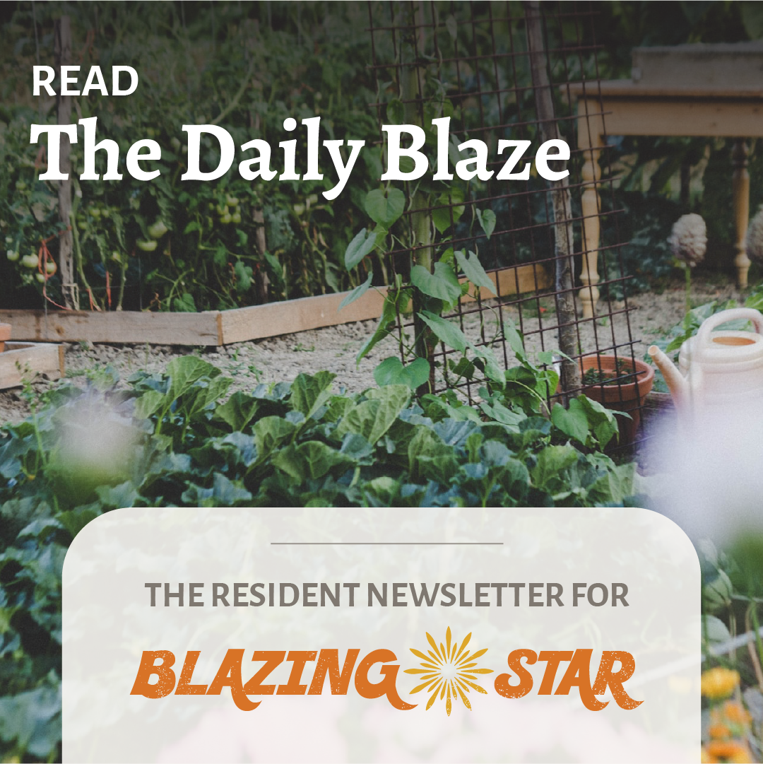 An advertisement for THe Daily Blaze newsletter for residents of the Blazing Star Community, featuring a photo of a garden.