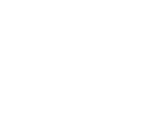 NGO Spin, Bosnia and Herzegovina logo