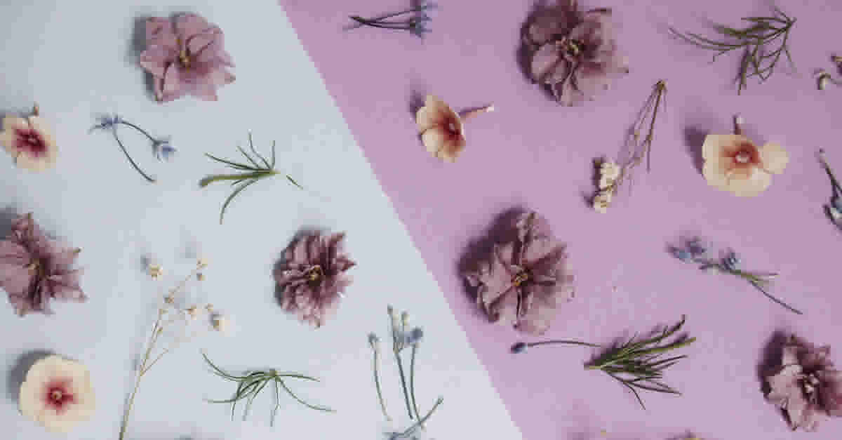 Flowers on a table