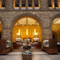 Carbon Labelling at Natural History Museum