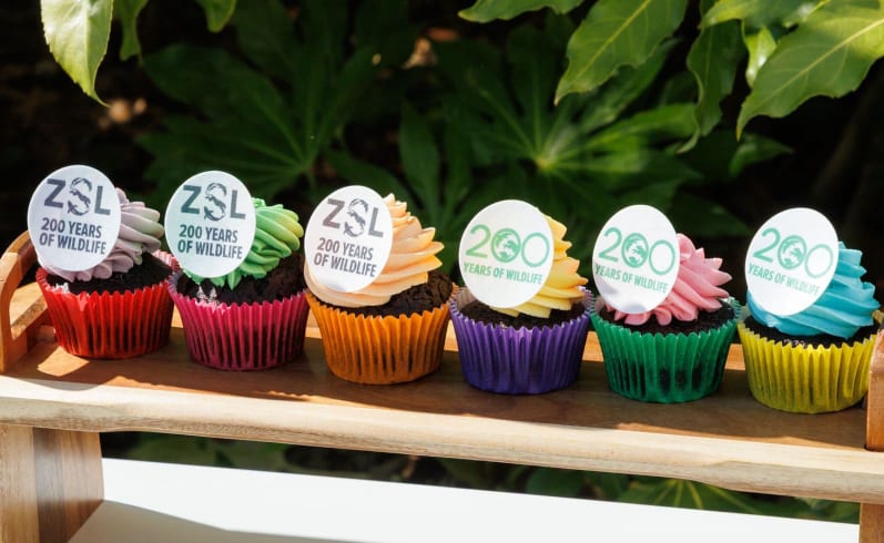 zsl cupcakes