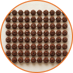 1 Mukhi Rudraksha 2