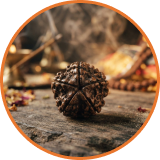 Rudraksha