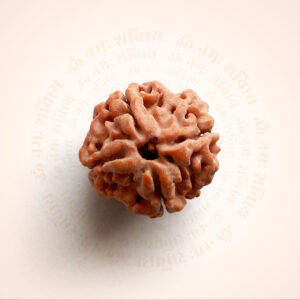 4 Mukhi Rudraksha