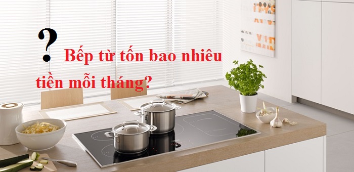 Sử dụng bếp từ có tốn nhiều điện năng không ?