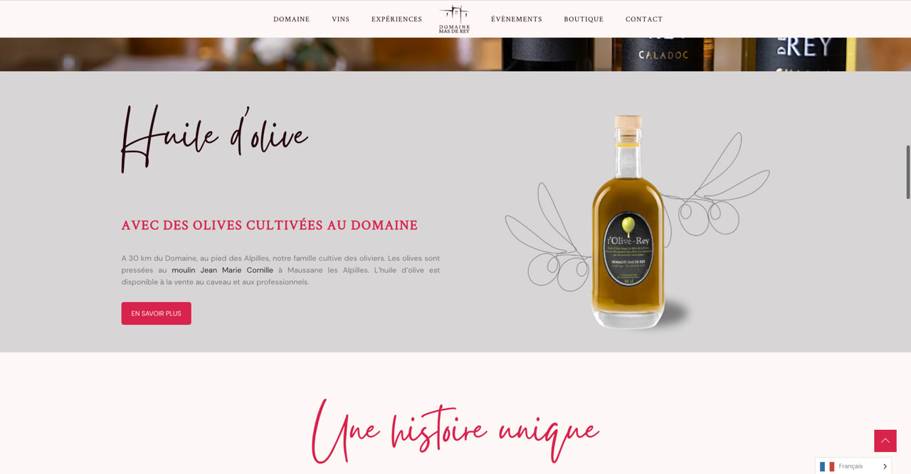 screenshot of the domaine du mas de rey website