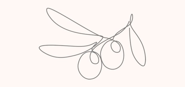 drawing of olives in wire