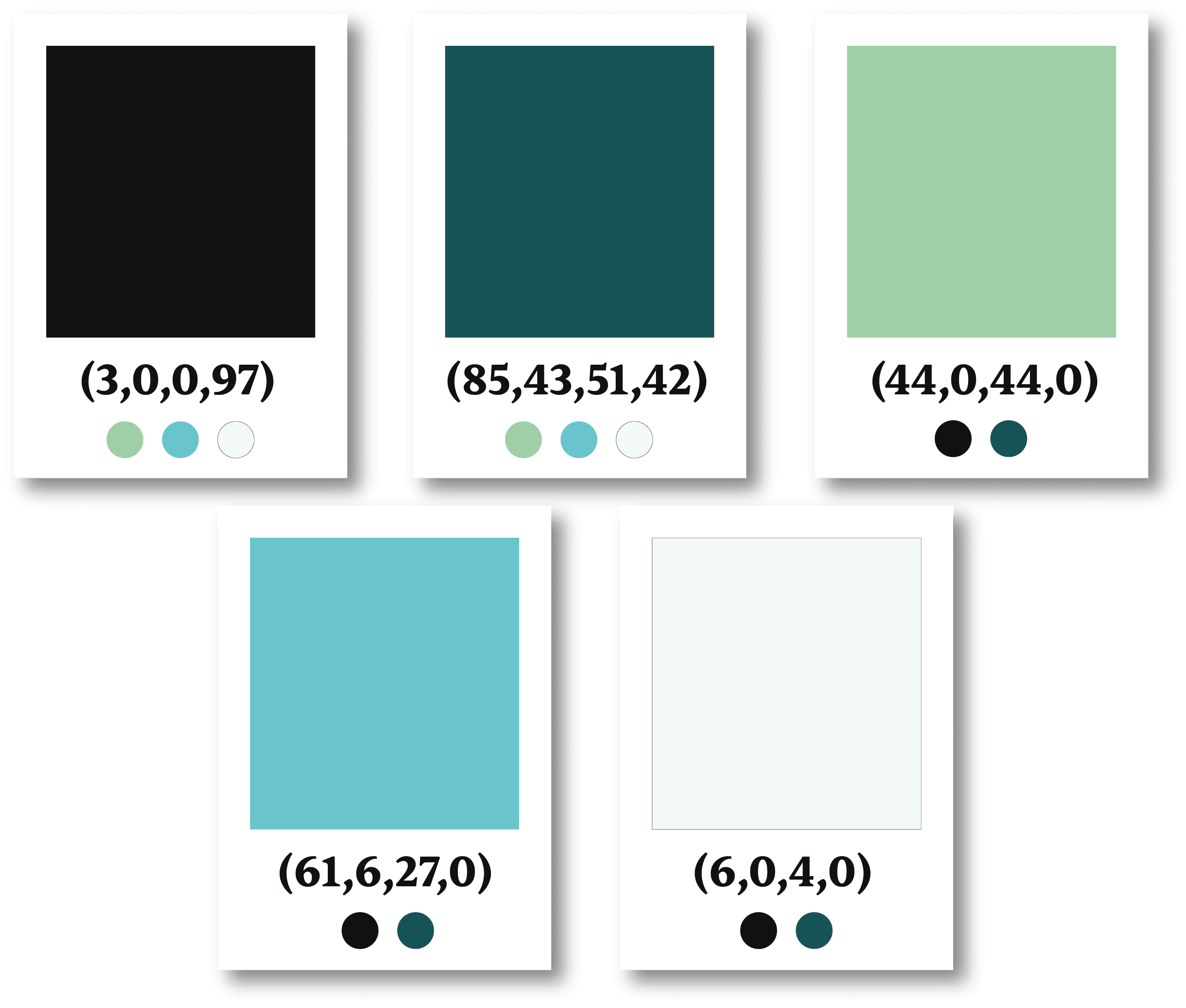 proposal of the final color chart by applying the advice of the Groom agency on responsible branding