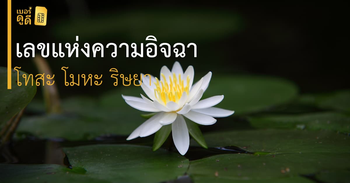 บทความ เบอร์ดูดี เลขแห่งความอิจฉา ริษยา
