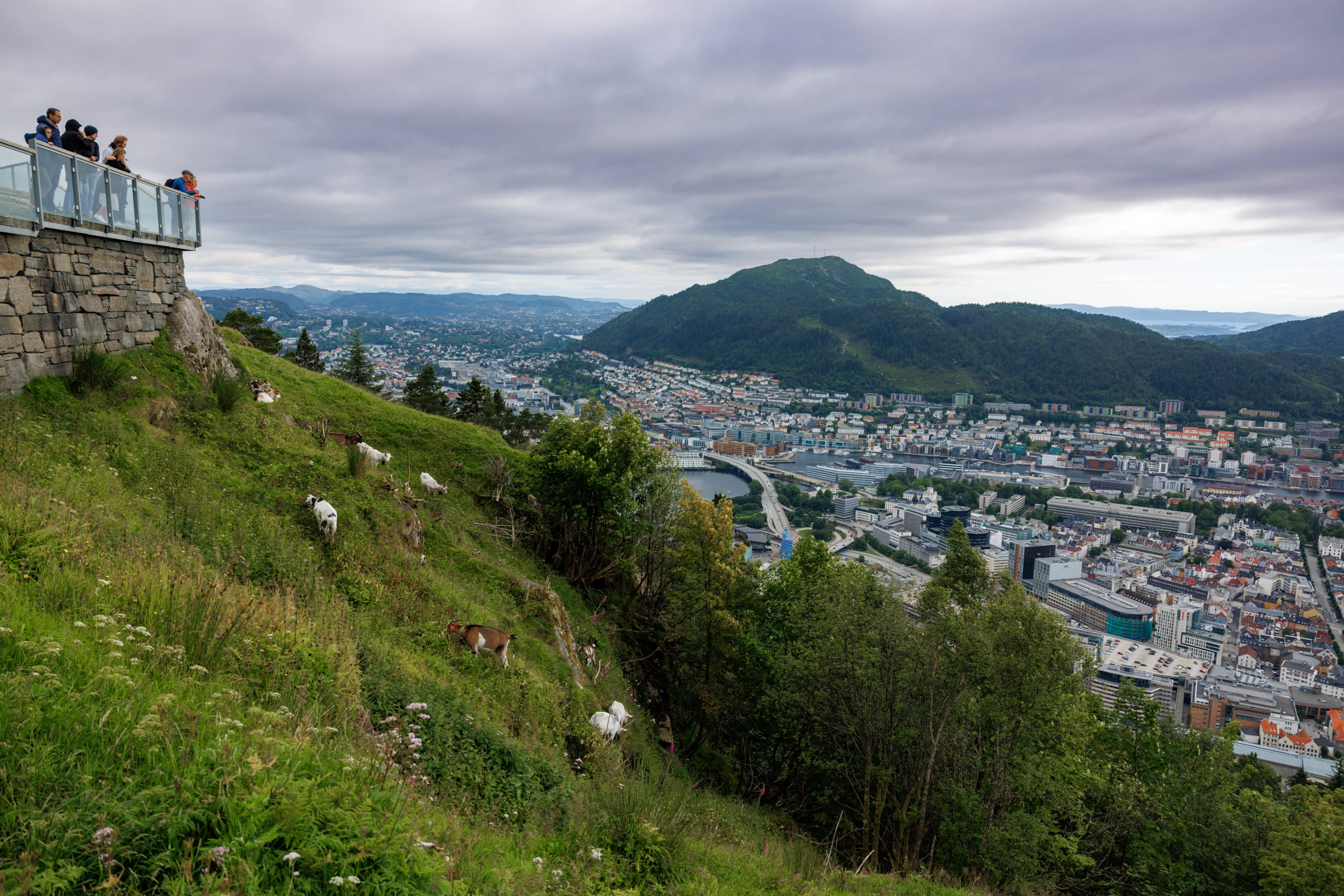 Bergen city mountains