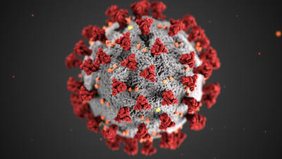 WHO : Semua Hipotesa Asal-usul Virus Corona (Covid-19) Masih Terbuka