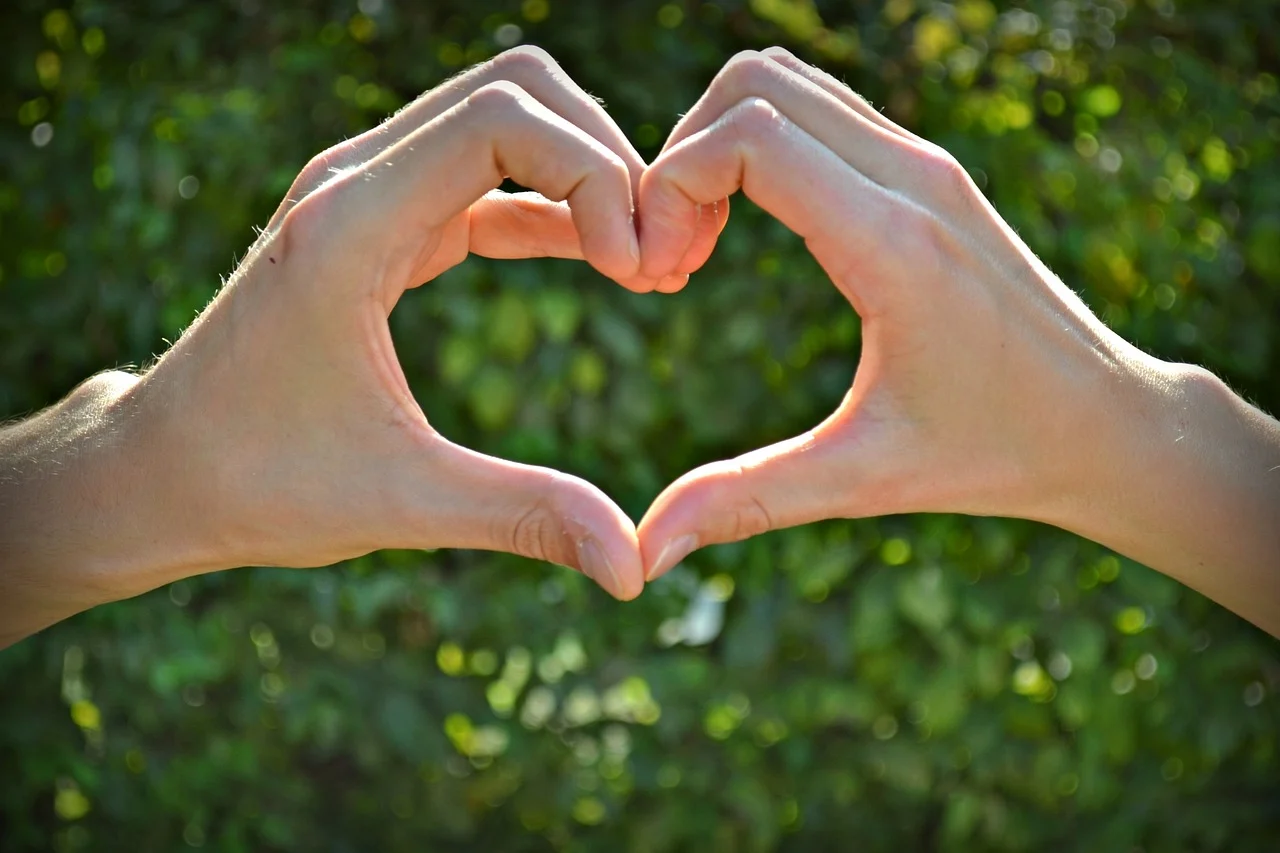 cinta, jantung, bentuk hati, percintaan, jatuh cinta, romantis, keberuntungan, tangan, pria dan wanita, komitmen, menjadi bersama, hubungan, bokeh, torsi, valentine, komitmen, komitmen, komitmen, komitmen, komitmen