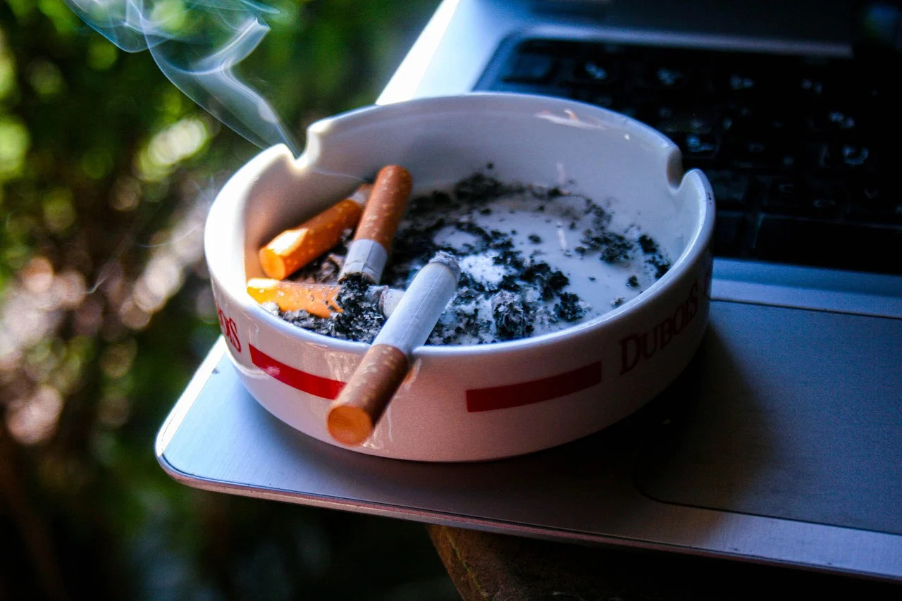 rokok, tembakau, merokok, nampan abu, rokok, rokok, rokok, rokok, rokok