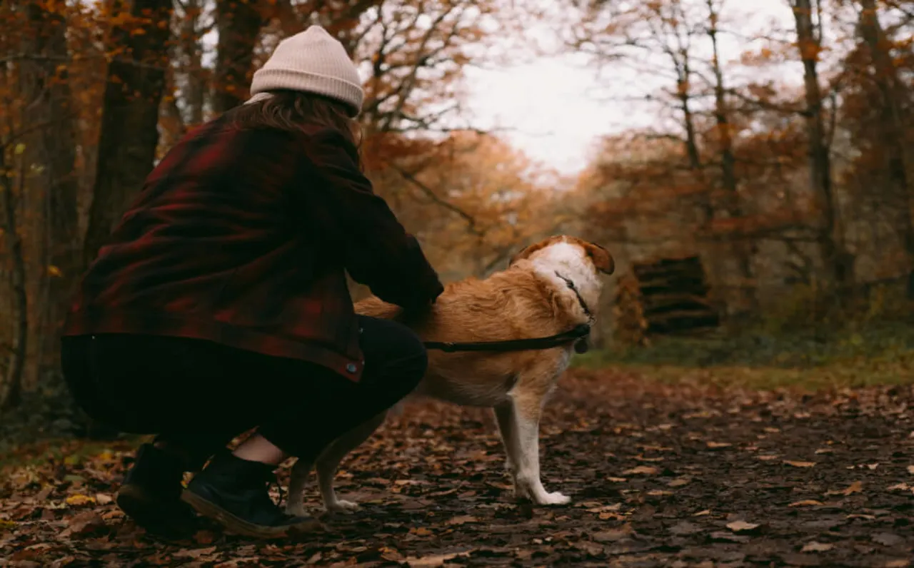 Berlin mit Hund: 8 Ideen & Aktivitäten