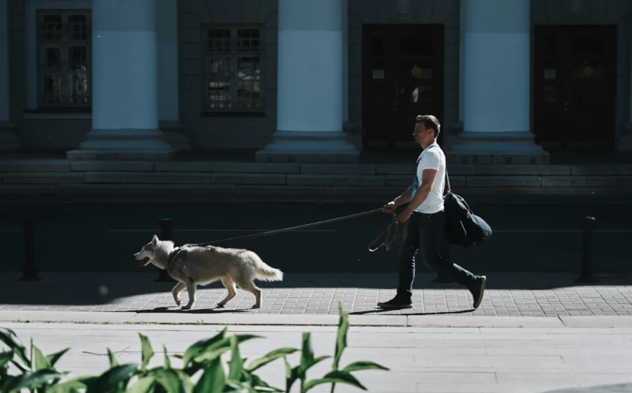 48 Stunden in Berlin mit Hund: Verkehrsmittel, lokale Vorschriften und die besten Stadtviertel für Ihren Aufenthalt