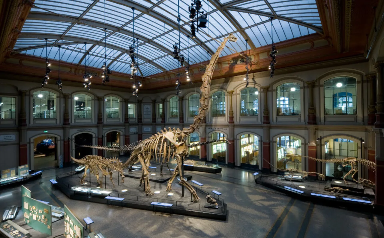 Museo di Storia Naturale di Berlino: Visita, Prezzi, Info