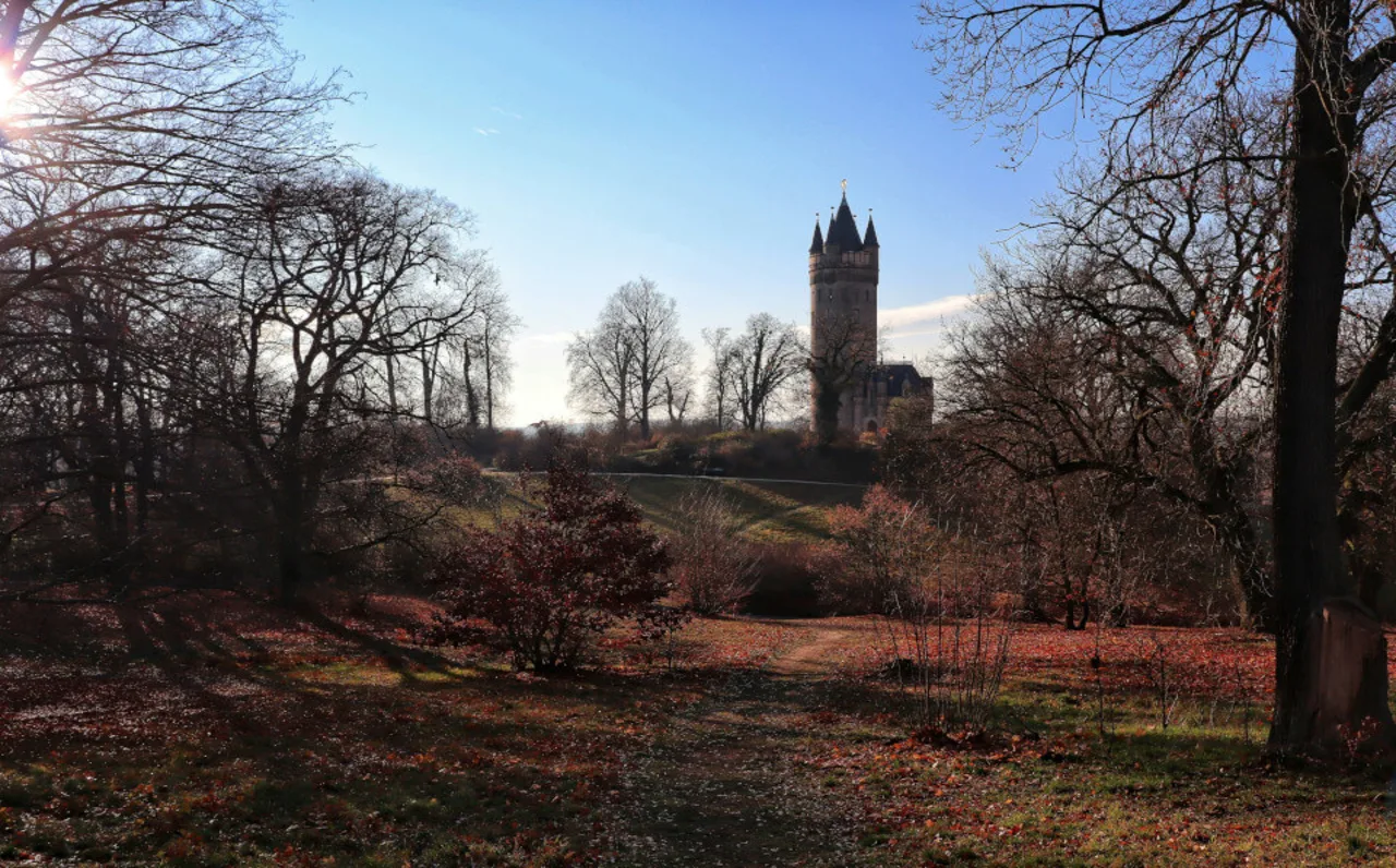 Le 10 Escursioni di un Giorno più Belle da Berlino