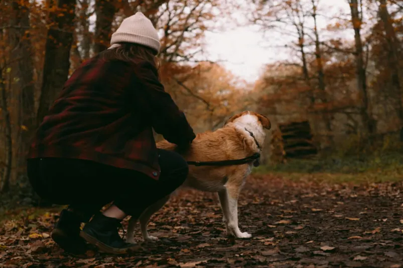 Berl n Con Perro 8 Ideas Y Actividades Berlin Poche